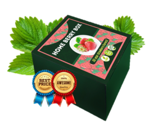 Home Berry Box - отзиви - цена - българия - коментари - форум - мнения